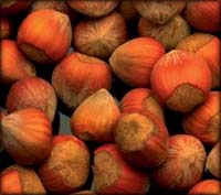 A bunch of hazelnuts to lower your cholesterol naturally