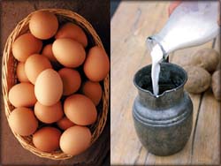 Photo of dairy products, eggs and milk.