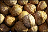 Good cholesterol foods example: picture of whole walnuts.