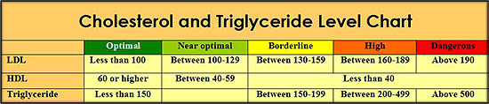 LDL HDL Cholesterol Chart: See Triglyceride Numbers