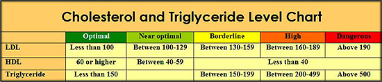 Good And Bad Cholesterol Levels Chart