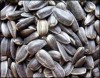 Niacin for cholesterol: Sunflower seeds