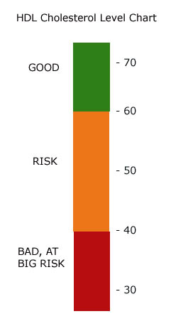 Chol Hdl Risk Ratio Chart