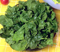 Leafy greens, e.g. salad, is great for lowering cholesterol and getting your cholesterol numbers back on track.