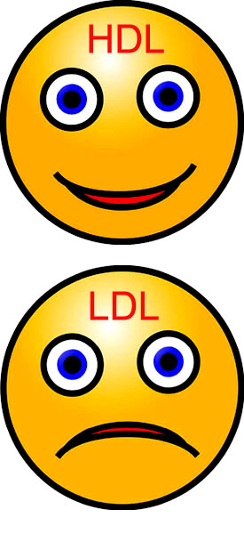 The art of maintaining good cholesterol levels: Smilies with HDL cholesterol and LDL cholesterol.