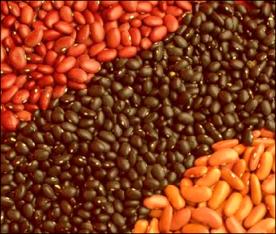 Many different types of beans.