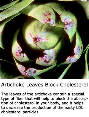 Artichoke blocks the absorption of cholesterol in your body.