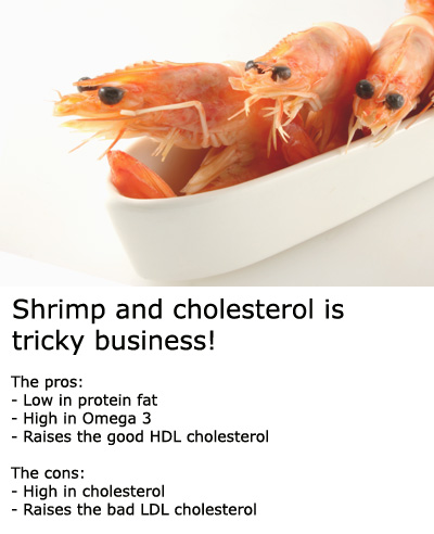 Shrimp cholesterol facts.